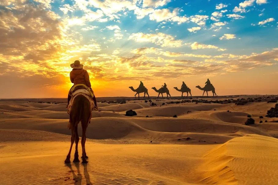 Thar Desert Experience